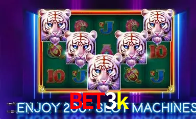 bet3k,bet3k bet